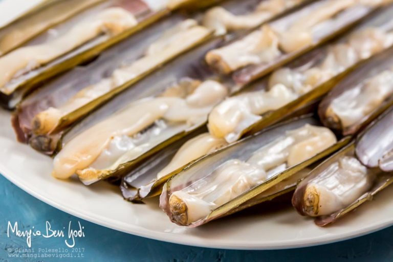 Cannolicchi cosa sono, come pulirli e come prepararli Mangia Bevi