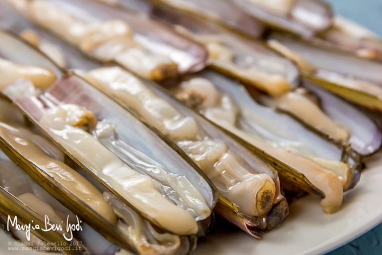 Cannolicchi cosa sono, come pulirli e come prepararli Mangia Bevi