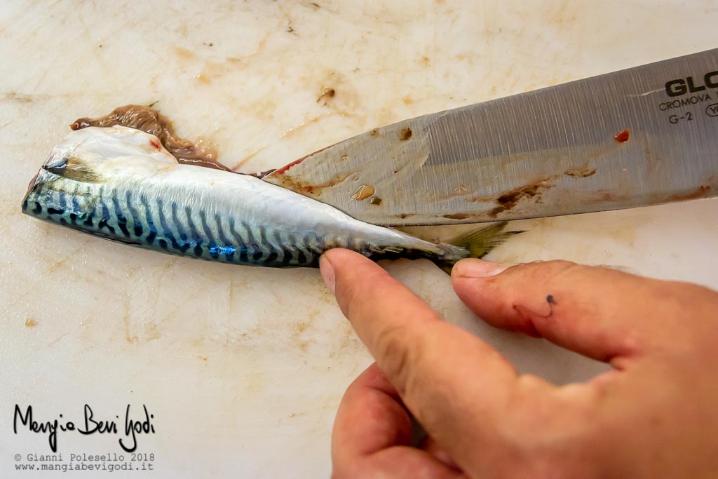 Incisione del ventre dello sgombretto con un coltello affilato