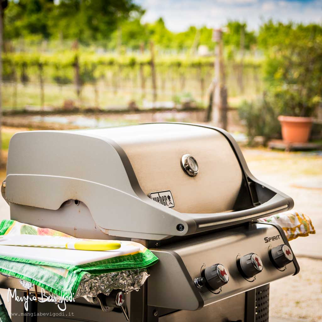 branzino nel barbecue con coperchio