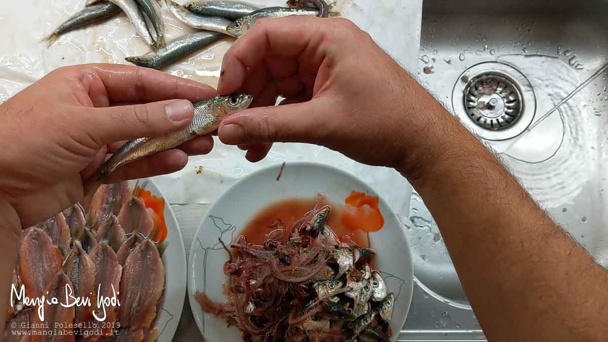 Afferrare la testa della sardina